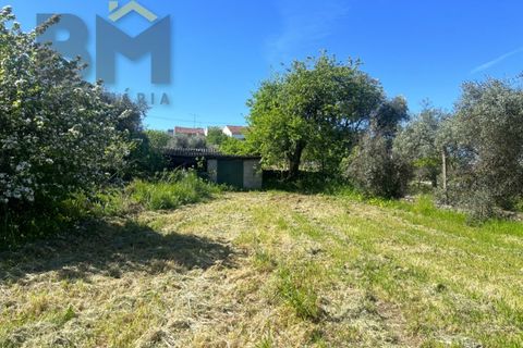 Villa a Cebolais de Cima, Castelo Branco, Cebolais de Cima - € 345.000 | Ref: 5030 - foto 37