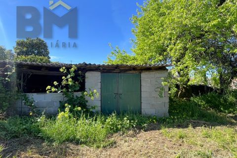 Villa a Cebolais de Cima, Castelo Branco, Cebolais de Cima - € 345.000 | Ref: 5030 - foto 38