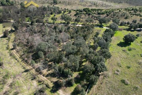 Terra a A do Bispo, Castelo Branco, A do Bispo - € 70.000 | Ref: 5032 - foto 3