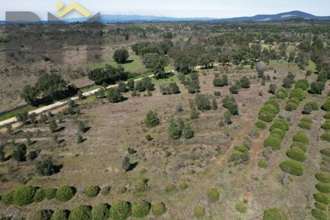 Terra a A do Bispo, Castelo Branco, A do Bispo - € 70.000 | Ref: 5032 - foto 4