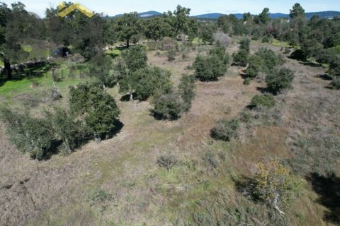 Terra a A do Bispo, Castelo Branco, A do Bispo - € 70.000 | Ref: 5032 - foto 5