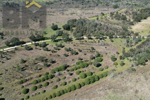 Terra a A do Bispo, Castelo Branco, A do Bispo - € 70.000 | Ref: 5032 - foto 7