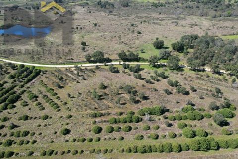 Terra a A do Bispo, Castelo Branco, A do Bispo - € 70.000 | Ref: 5032 - foto 8