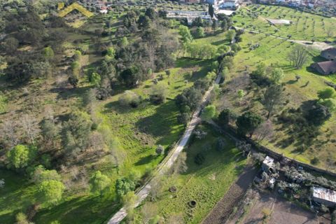 Terra a A do Bispo, Castelo Branco, A do Bispo - € 35.000 | Ref: 5033 - foto 2