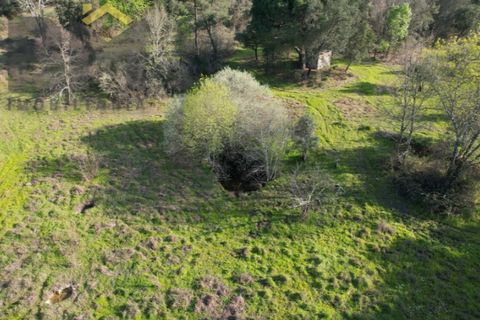 Terra a A do Bispo, Castelo Branco, A do Bispo - € 35.000 | Ref: 5033 - foto 4