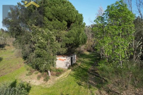 Terra a A do Bispo, Castelo Branco, A do Bispo - € 35.000 | Ref: 5033 - foto 6