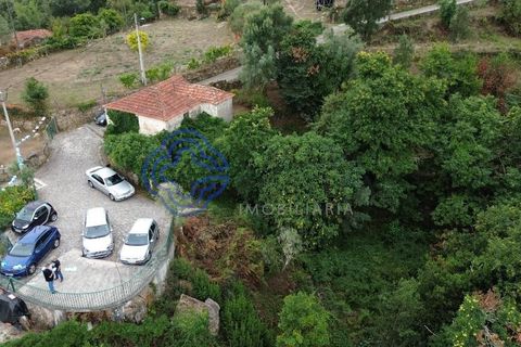 Helårsgrund i Cinfaes, Viseu, Cinfaes - € 200.000 | Ref: 1125201 - foto 2