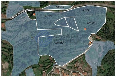 Helårsgrund i Cinfaes, Viseu, Cinfaes - € 200.000 | Ref: 1125201 - foto 4