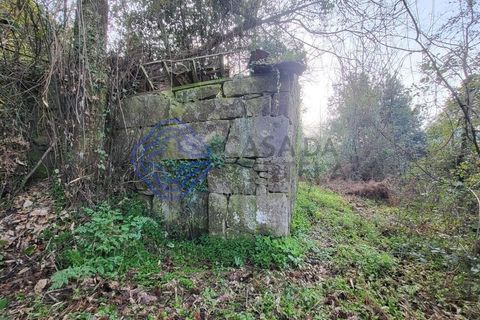 Helårsgrund i Cinfaes, Viseu, Cinfaes - € 200.000 | Ref: 1125201 - foto 6