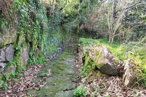 Helårsgrund i Cinfaes, Viseu, Cinfaes - € 200.000 | Ref: 1125201 - foto 8