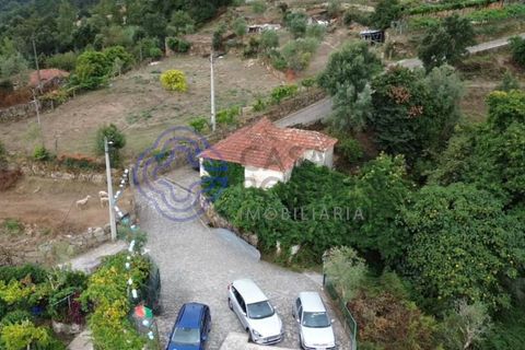 Terreno en Cinfaes, Viseu, Cinfaes - € 200.000 | Ref: 1125201 - photo 1
