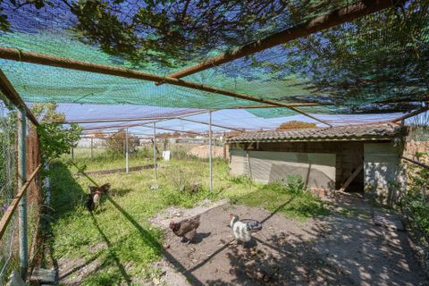 Farm hus i Palmela, Setubal, Palmela - € 590.000 | Ref: C0498-00232 - foto 31