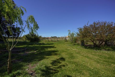 Farm hus i Palmela, Setubal, Palmela - € 590.000 | Ref: C0498-00232 - foto 33