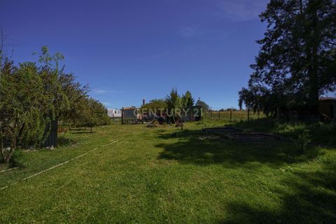 Farm hus i Palmela, Setubal, Palmela - € 590.000 | Ref: C0498-00232 - foto 34