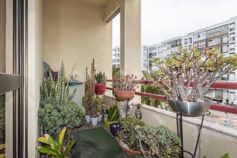 Lejlighed i Setubal, Setubal, Setubal - € 475.000 | Ref: APA_13230 - foto 41