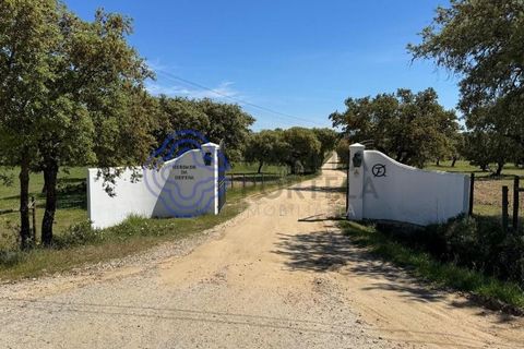 Byhus i Evora, Evora, Evora - € 185.000 | Ref: 1121661 - foto 44