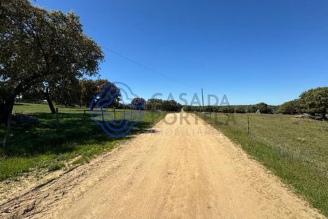 Byhus i Evora, Evora, Evora - € 185.000 | Ref: 1121661 - foto 45