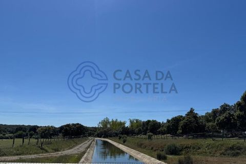 Byhus i Evora, Evora, Evora - € 185.000 | Ref: 1121661 - foto 38