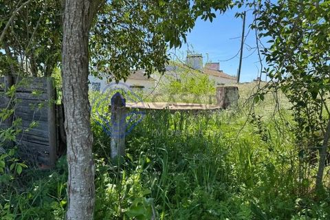 Byhus i Evora, Evora, Evora - € 185.000 | Ref: 1121661 - foto 37