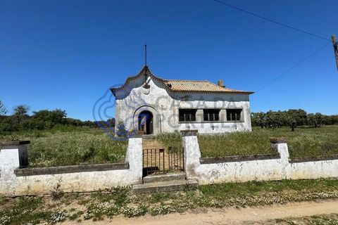 Byhus i Evora, Evora, Evora - € 185.000 | Ref: 1121661 - foto 14