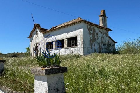 Byhus i Evora, Evora, Evora - € 185.000 | Ref: 1121661 - foto 22