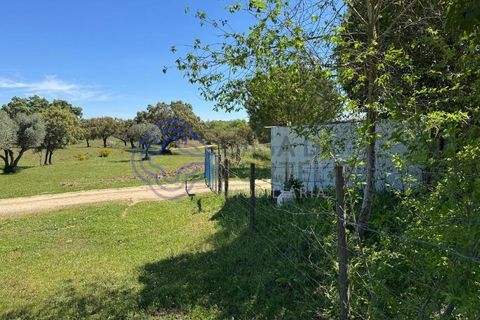 Byhus i Evora, Evora, Evora - € 185.000 | Ref: 1121661 - foto 35