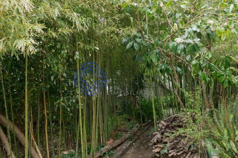 Erhvervsejendom i Setubal, Setubal, Setubal - € 1.100.000 | Ref: 1112161 - foto 20
