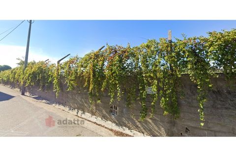 Helårsgrund i Coimbra, Coimbra, Coimbra - € 120.000 | Ref: TER_463 - foto 6