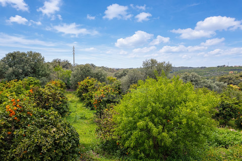 Villa i Silves, Faro, Silves - € 595.000 | Ref: BAP-115 - foto 25