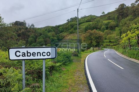 Villa i Ciboes e Brufe, Braga, Ciboes e Brufe - € 175.000 | Ref: ZMPT586509 - foto 2