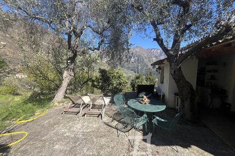Villa i Breil-sur-Roya, Alpes-Maritimes, Breil-sur-Roya - € 355.000 | Ref: 86891280 - foto 1
