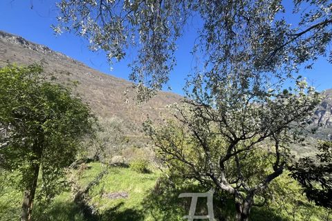 Villa i Breil-sur-Roya, Alpes-Maritimes, Breil-sur-Roya - € 355.000 | Ref: 86891280 - foto 2