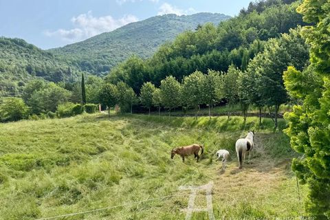 Landejendom i Sospel, Alpes-Maritimes, Sospel - € 890.000 | Ref: 86906636 - foto 3