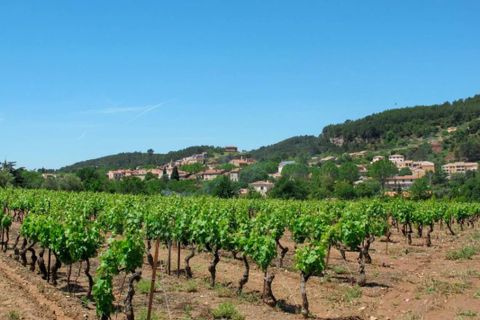 Villa i Gonfaron, Var, Gonfaron - € 513.700 | Ref: 3011443595 - foto 13