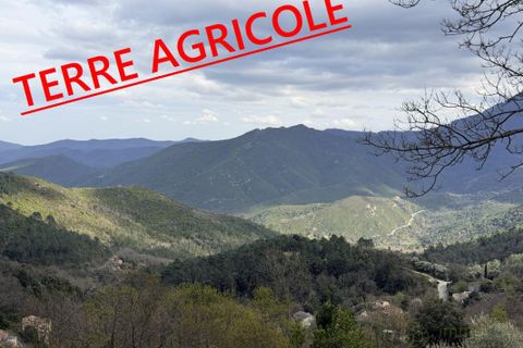 Helårsgrund i Venaco, Haute-Corse, Venaco - € 15.000 | Ref: 3011443738 - foto 1