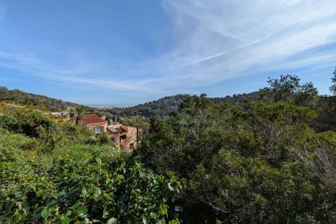 Terreno en Javea, Alicante, Javea - € 300.000 | Ref: xjav4638 - photo 4