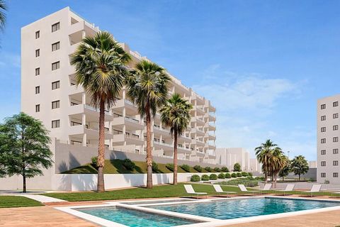 Penthouse in San Miguel De Salinas, Alicante - foto 4