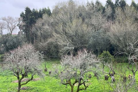Farm hus i Sintra, Lisbon, Sintra - € 1.250.000 | Ref: ITH4049 - foto 5