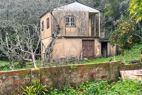 Farm hus i Sintra, Lisbon, Sintra - € 1.250.000 | Ref: ITH4049 - foto 6