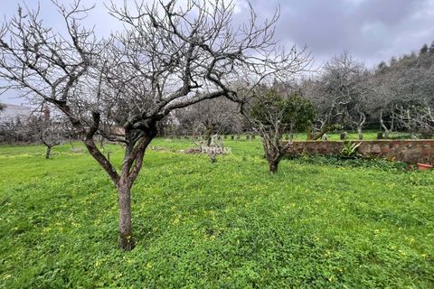 Farm hus i Sintra, Lisbon, Sintra - € 1.250.000 | Ref: ITH4049 - foto 7