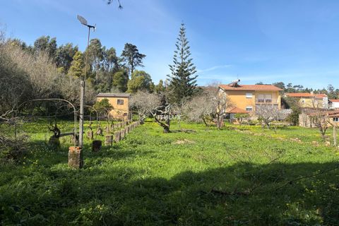 Farm hus i Sintra, Lisbon, Sintra - € 1.250.000 | Ref: ITH4049 - foto 13