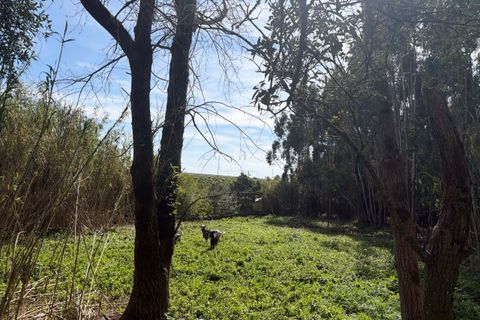 Farm hus i Sintra, Lisbon, Sintra - € 1.250.000 | Ref: ITH4049 - foto 14