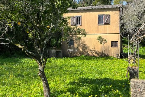 Farm hus i Sintra, Lisbon, Sintra - € 1.250.000 | Ref: ITH4049 - foto 20