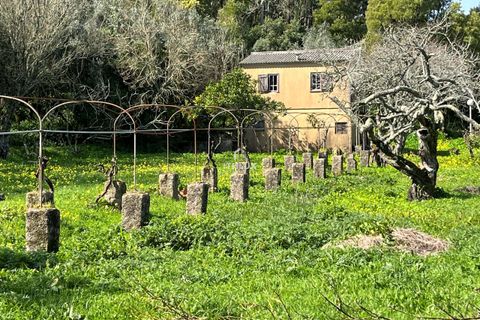 Farm hus i Sintra, Lisbon, Sintra - € 1.250.000 | Ref: ITH4049 - foto 21