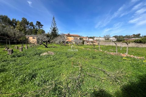 Farm hus i Sintra, Lisbon, Sintra - € 1.250.000 | Ref: ITH4049 - foto 22