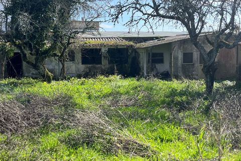 Farm hus i Sintra, Lisbon, Sintra - € 1.250.000 | Ref: ITH4049 - foto 23