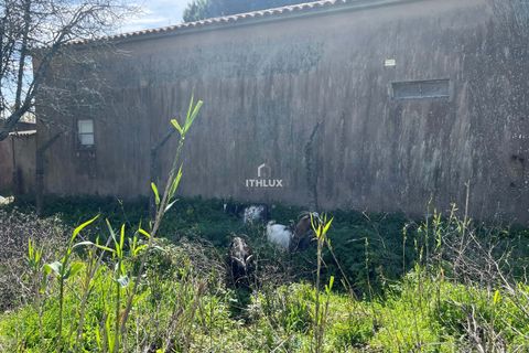 Farm hus i Sintra, Lisbon, Sintra - € 1.250.000 | Ref: ITH4049 - foto 24