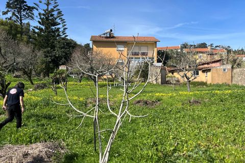 Farm hus i Sintra, Lisbon, Sintra - € 1.250.000 | Ref: ITH4049 - foto 25