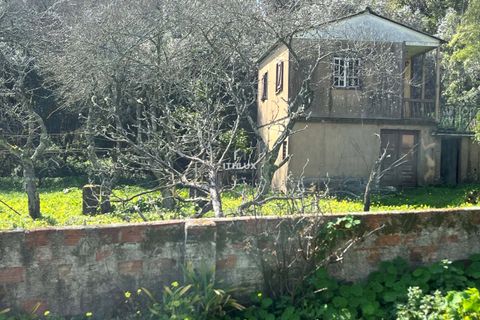 Farm hus i Sintra, Lisbon, Sintra - € 1.250.000 | Ref: ITH4049 - foto 28