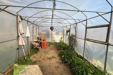 Farm hus i Sintra, Lisbon, Sintra - € 1.250.000 | Ref: ITH4049 - foto 29